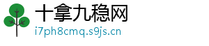 十拿九稳网手机访问